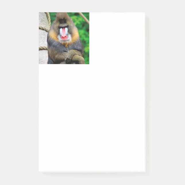 Mandrill 001 post-it block (Framsida)