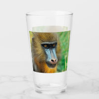 Mandrill 002