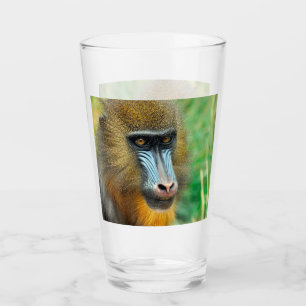 Mandrill 002 glaskopp