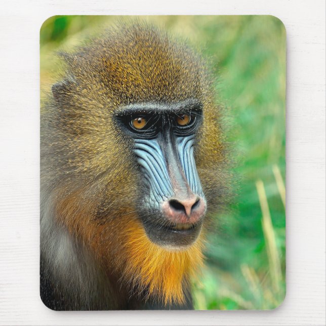Mandrill 002 musmatta (Framsidan)