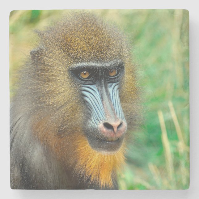Mandrill 002 stenunderlägg (Framsidan)