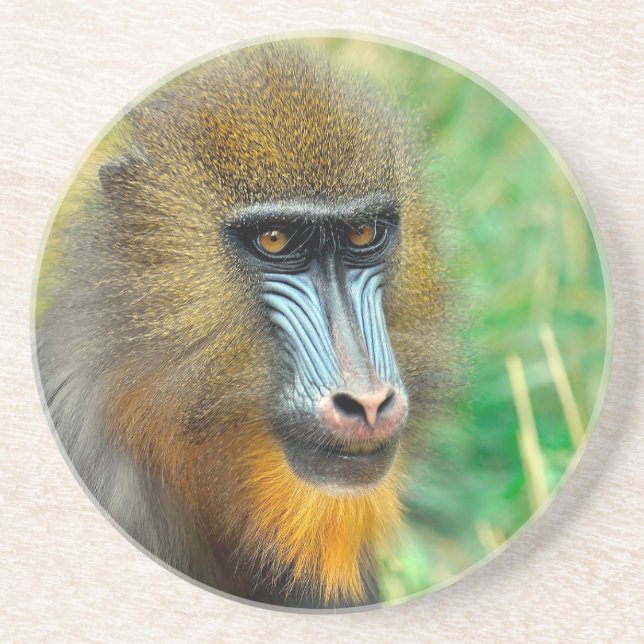 Mandrill 002 underlägg (Framsidan)
