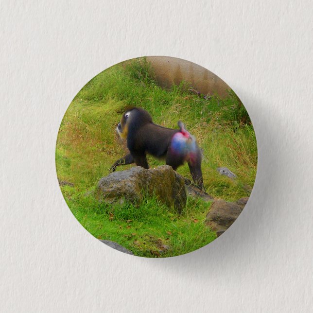 Mandrill #4 Pinback-knapp Knapp (Framsida)