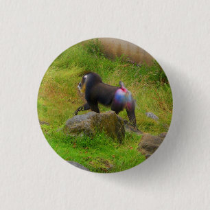 Mandrill #4 Pinback knäppas Knapp