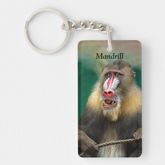 Mandrill, afrikansk Ape (Framsidan)