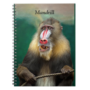 Mandrill, afrikansk Ape Anteckningsbok