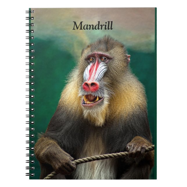 Mandrill, afrikansk Ape Anteckningsbok (Framsidan)
