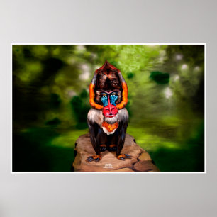 Mandrill Bodytavla Illusion Poster