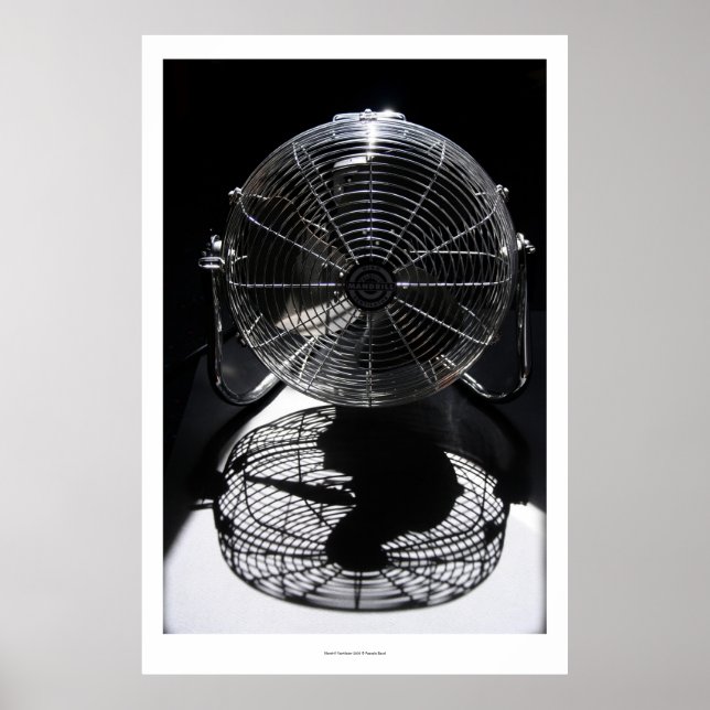 Mandrill Fläkt BW still Life Photography L Poster (Framsidan)