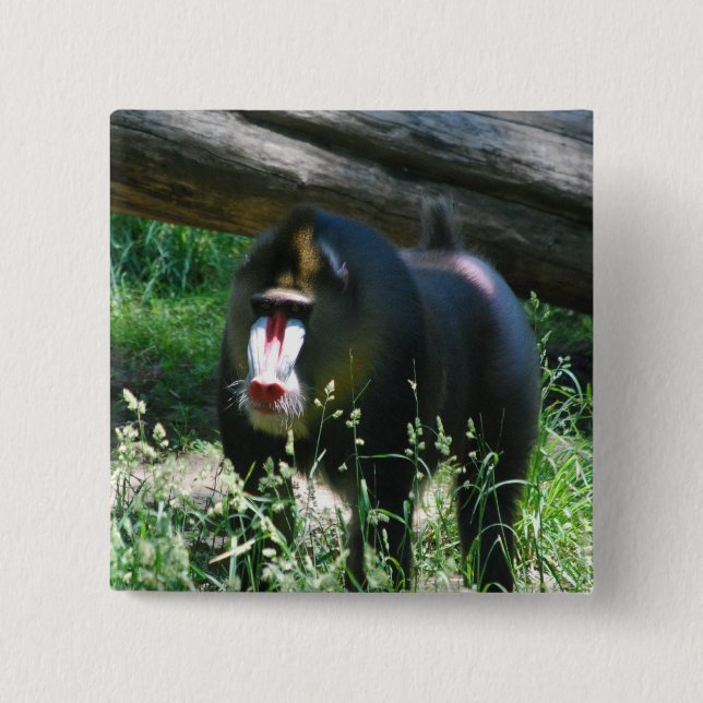 Mandrill klämmer fast knapp (Framsida)