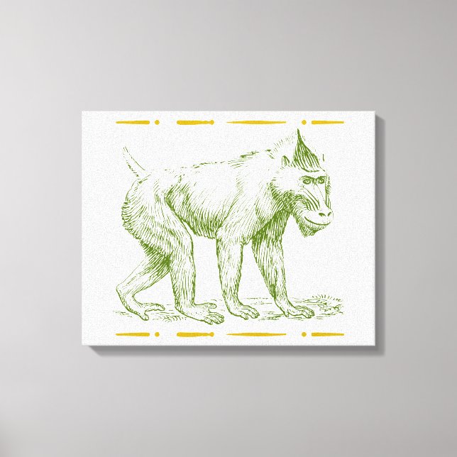 Mandrill Monkey Canvastryck (Framsida)