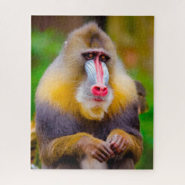 Mandrill Monkey. Pussel