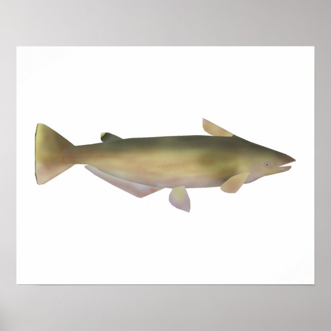 Manduba Poster (Framsidan)