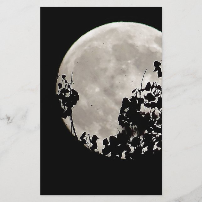 Måne bakom mörk löv (Framsida)