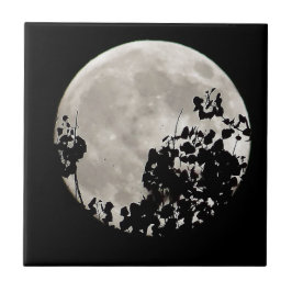 Måne bakom mörk löv kakelplatta