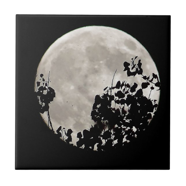 Måne bakom mörk löv kakelplatta (Framsidan)