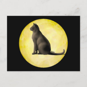 Måne Cat Vykort