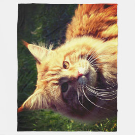 Mane Coon Fleecefilt