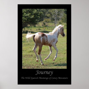 "Måne Dancer" poster - Journey