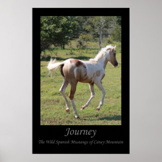 "Måne Dancer" poster - Journey