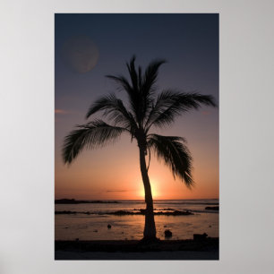 MÅNE HANDFLATAN POSTER