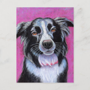Måne Hund Gräns Collie Vykort