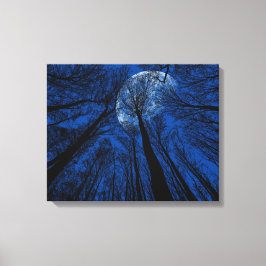 Måne i Natten Himlar Canvastryck