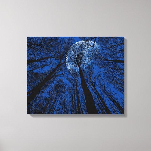 Måne i Natten Himlar Canvastryck (Framsida)