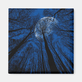 Måne i Natten Himlar Magnet