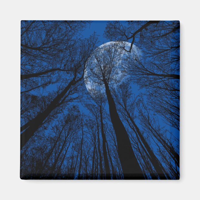 Måne i Natten Himlar Magnet (Framsidan)