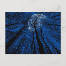 Måne i Natten Himlar Vykort