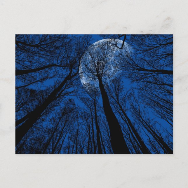 Måne i Natten Himlar Vykort (Framsida)