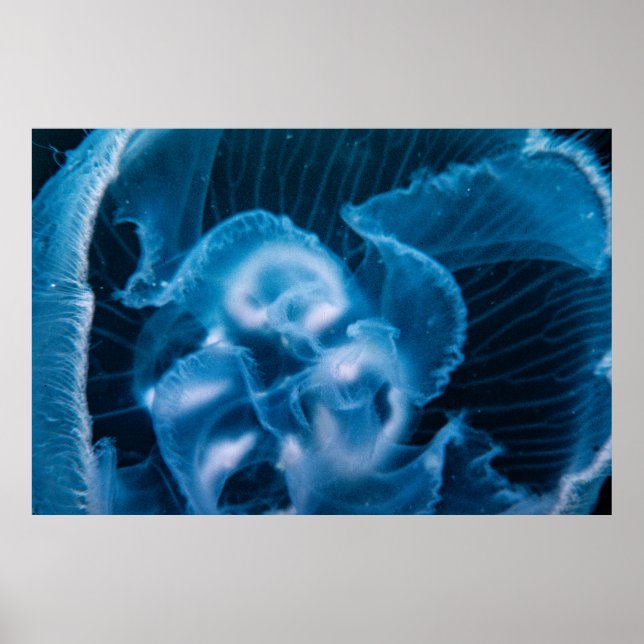 Måne Jelly Poster (Framsidan)