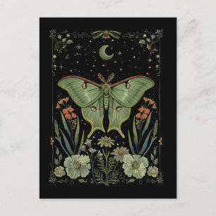 Måne Moth Gotisk Akvarell Konst Vykort