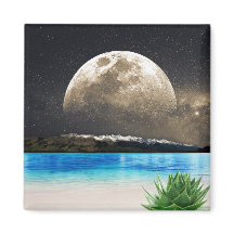 Måne och Beach