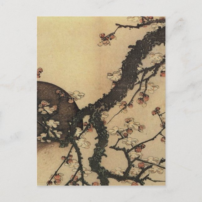 Måne och Blommor Vykort (Framsida)