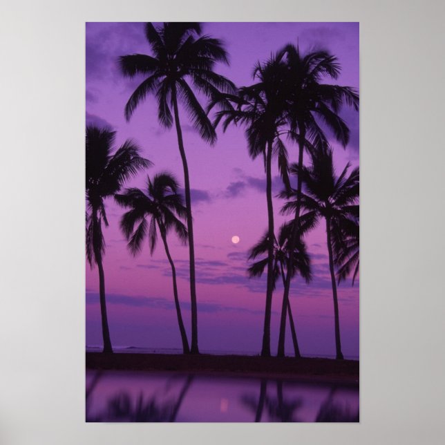 Måne och Handflatan Träd Poster (Framsidan)