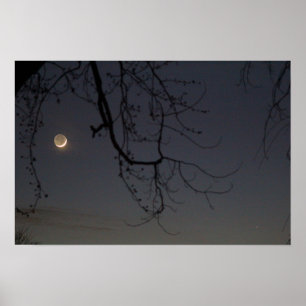 Måne och kvicksilver poster