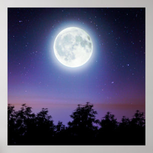 måne ovanför skogen poster