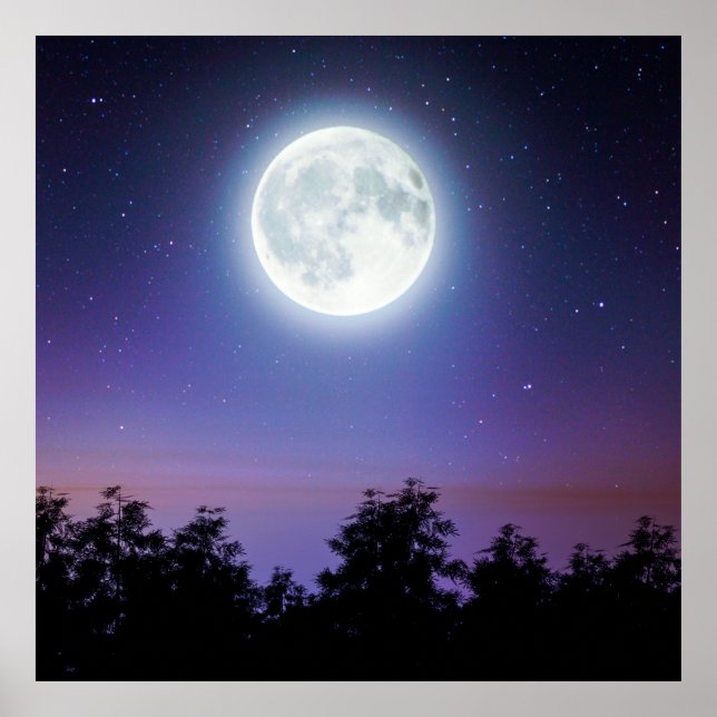 måne ovanför skogen poster (Framsidan)