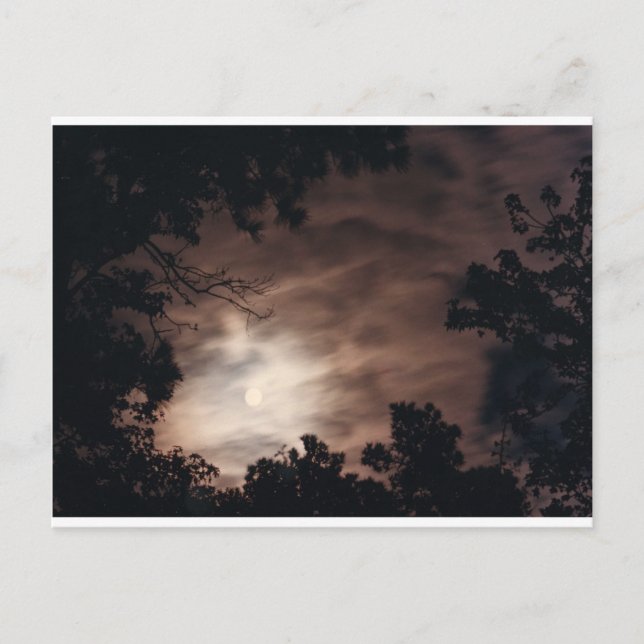 Måne over Charleston Vykort (Framsida)