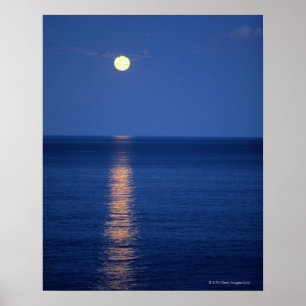 Måne över sjön på natten poster
