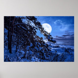 Måne över snöfir träd och havs kusten nattetid poster