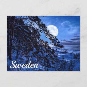 Måne över snöfir träd och havs kusten vid nattpo vykort