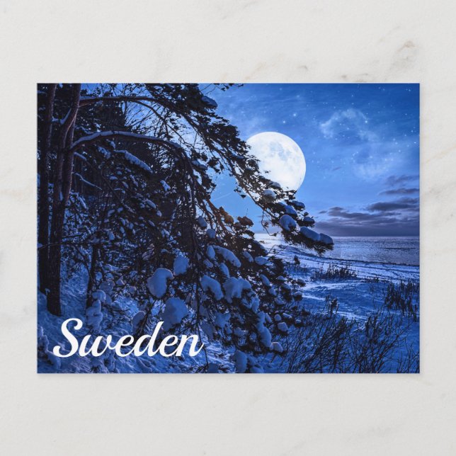 Måne över snöfir träd och havs kusten vid nattpo vykort (Framsida)