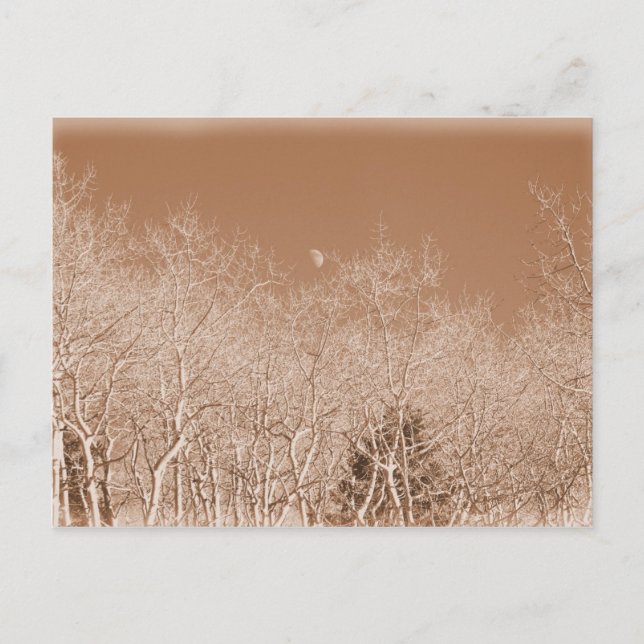 Måne över vykortet för vitskog vykort (Framsida)