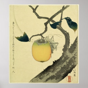 Måne, Persimmon och gräshoppa, 1807 Poster