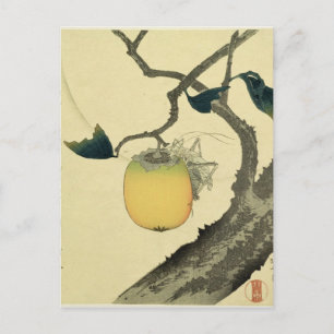 Måne, Persimmon och Grashopper, 1807 Vykort