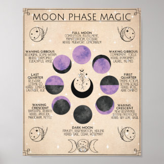 Måne Phase Art Måne Magic Poster