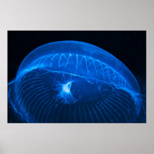 måne poster